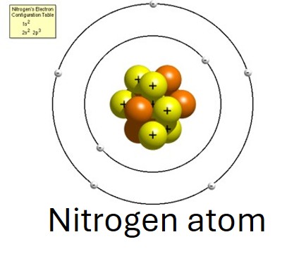 n2 atom