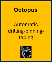 butt octopus
